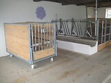 Kälberbox fahrbar mit Seitenwänden aus Holz und Sicherheits-Selbstfanggitter 5/4 Zoll im Hintergrund.
